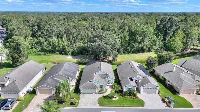 a view of a garden with flowers