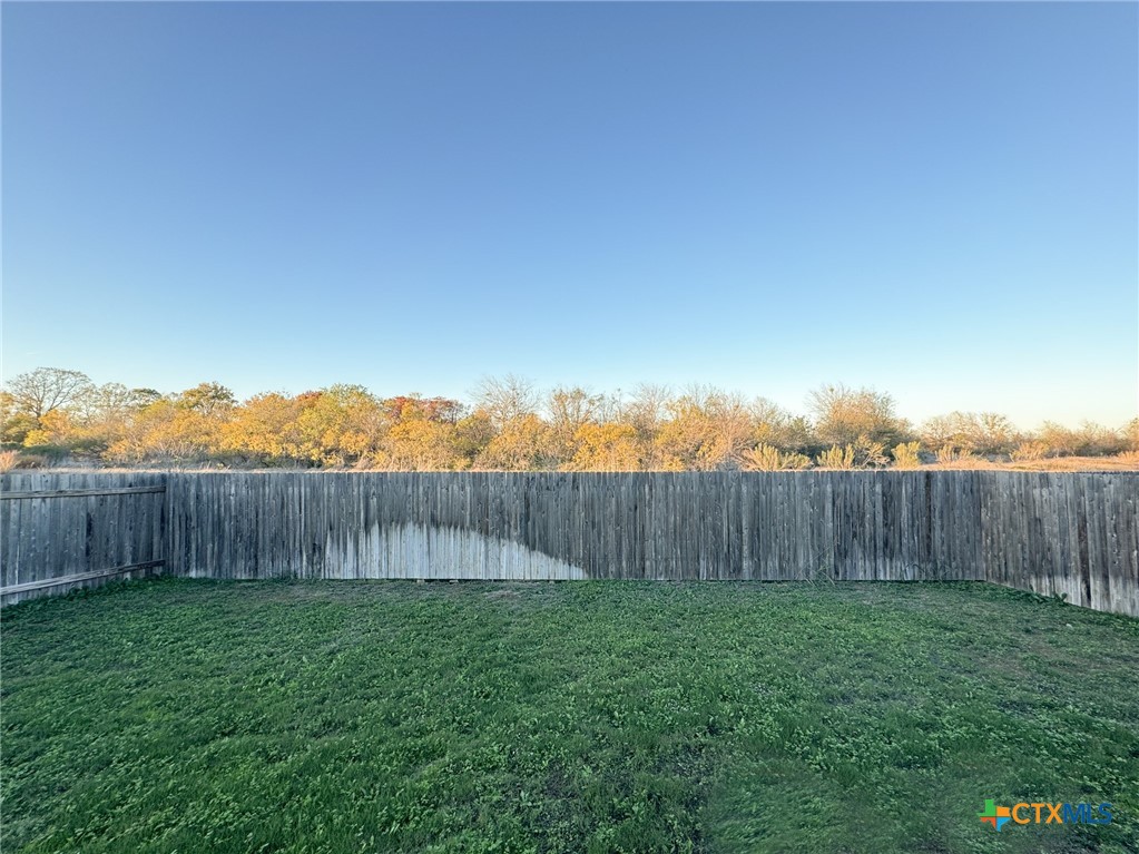 366 Silver Springs Bend Kyle, TX 78640 - Photo 11 of 13