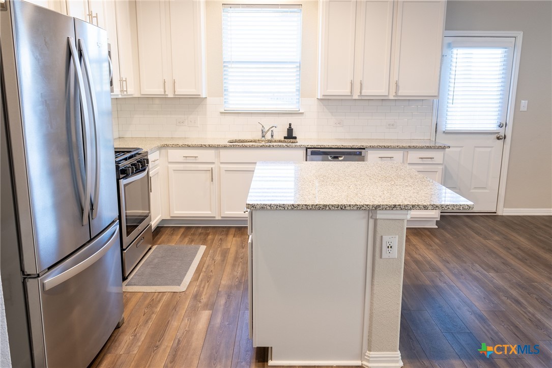 366 Silver Springs Bend Kyle, TX 78640 - Photo 3 of 13