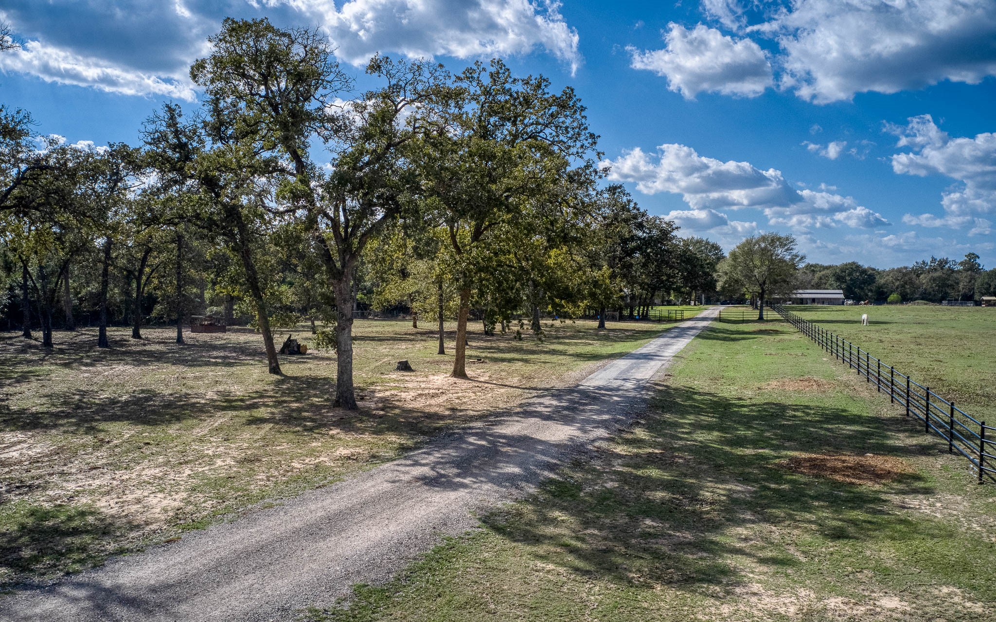 22474 Kmiec Road Hempstead, TX 77445 - Photo 50 of 50 Crushed asphalt driveway leads to parklike setting and home sweet home.