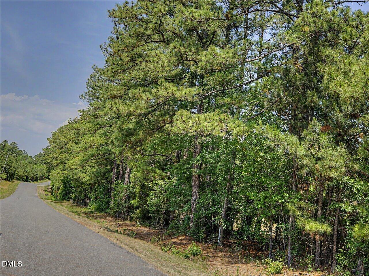 Lot 2 Clyde Farrell Road Apex, NC 27523 - Photo 20 of 26