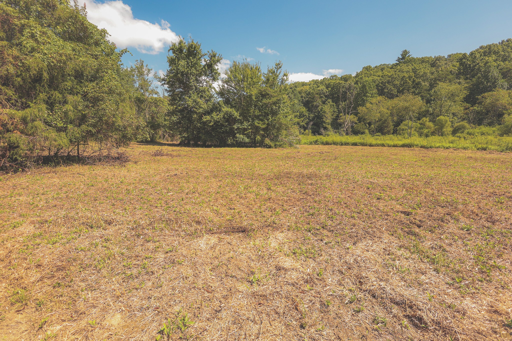 0 Grapevine Road Crossville, TN 38572 - Photo 15 of 57 Gallery Image 15