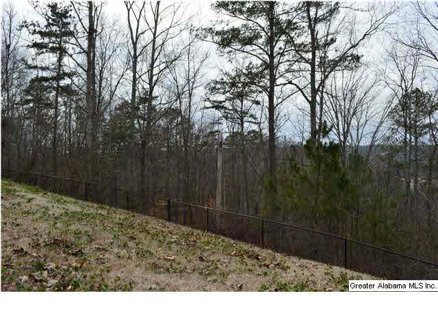 669 Levine Road Odenville, AL 35120 - Photo 19 of 20