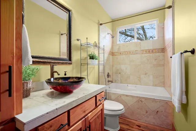 a bath room with a toilet and a bath tub
