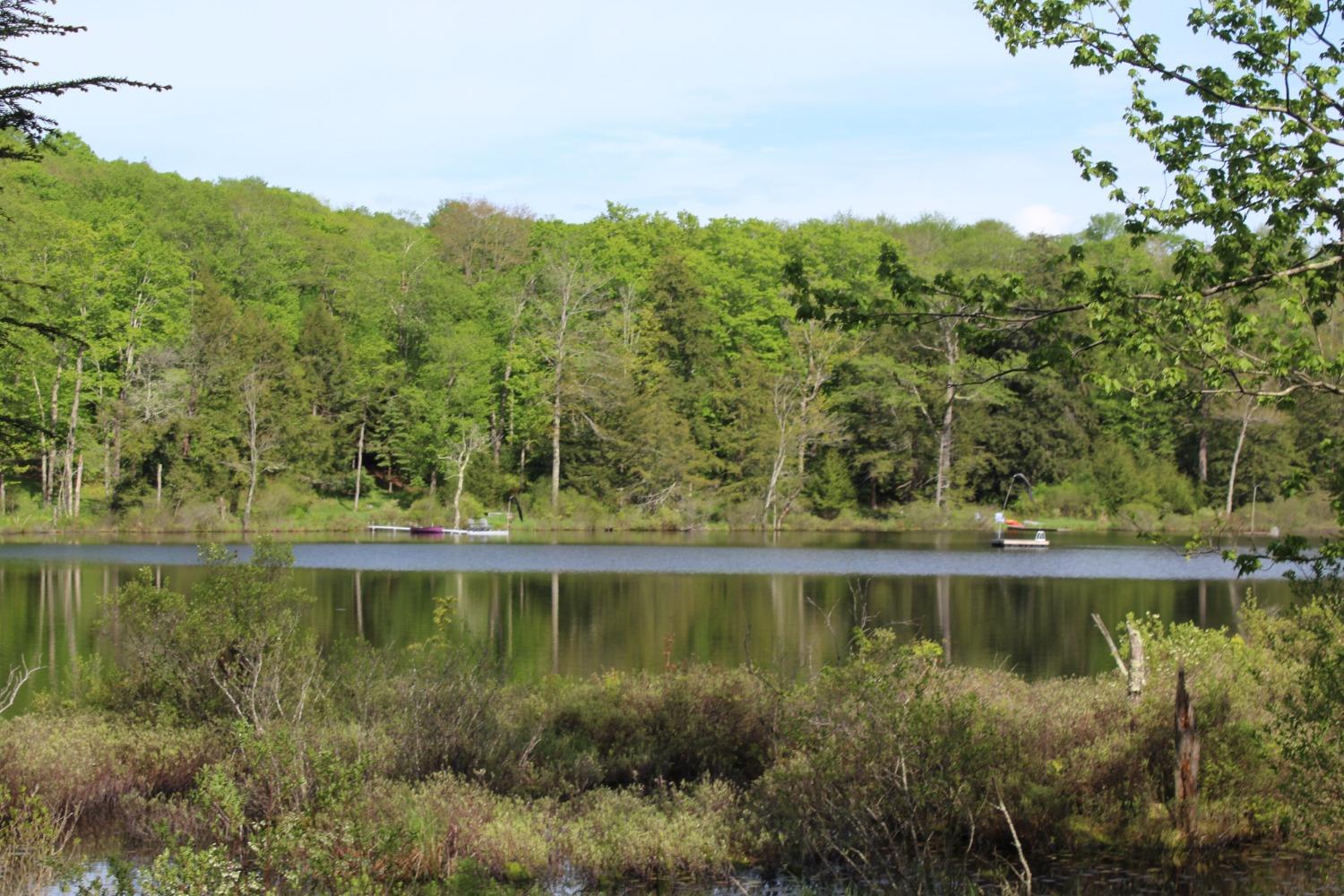 0 Burnt Hill Road Roscoe, NY 12776 - Photo 1 of 1 Gallery Image 1
