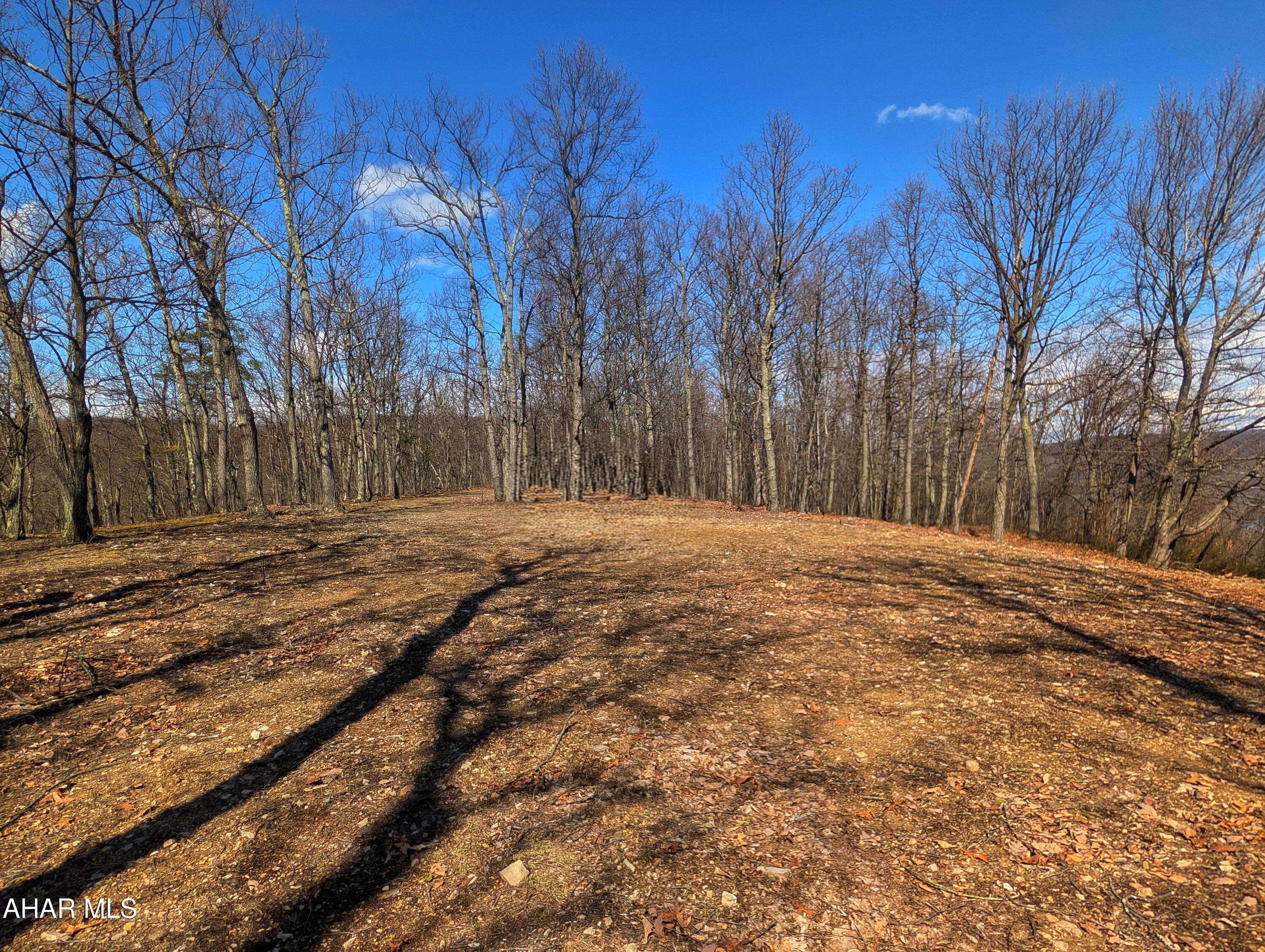 0 Pine Ridge Road Saxton, PA 16678 - Photo 15 of 23