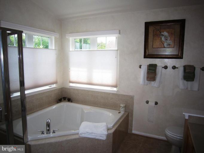42751 Middle Ridge Place Broadlands, VA 20148 - Photo 12 of 30 Master Bath