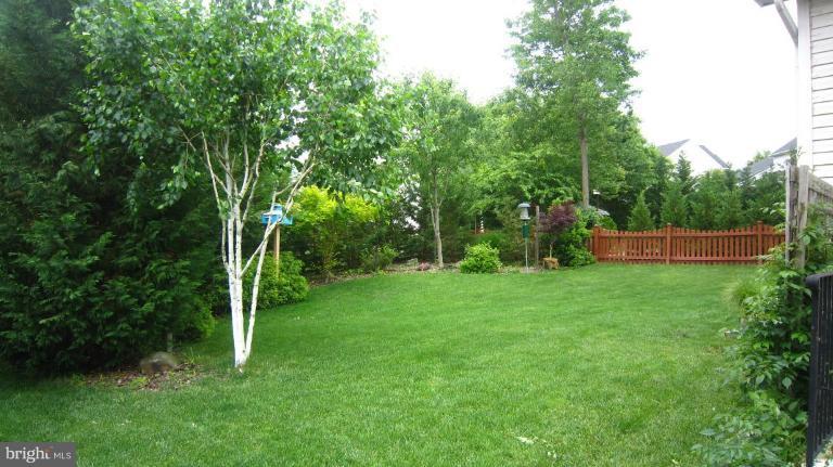 42751 Middle Ridge Place Broadlands, VA 20148 - Photo 20 of 30 Exterior #3