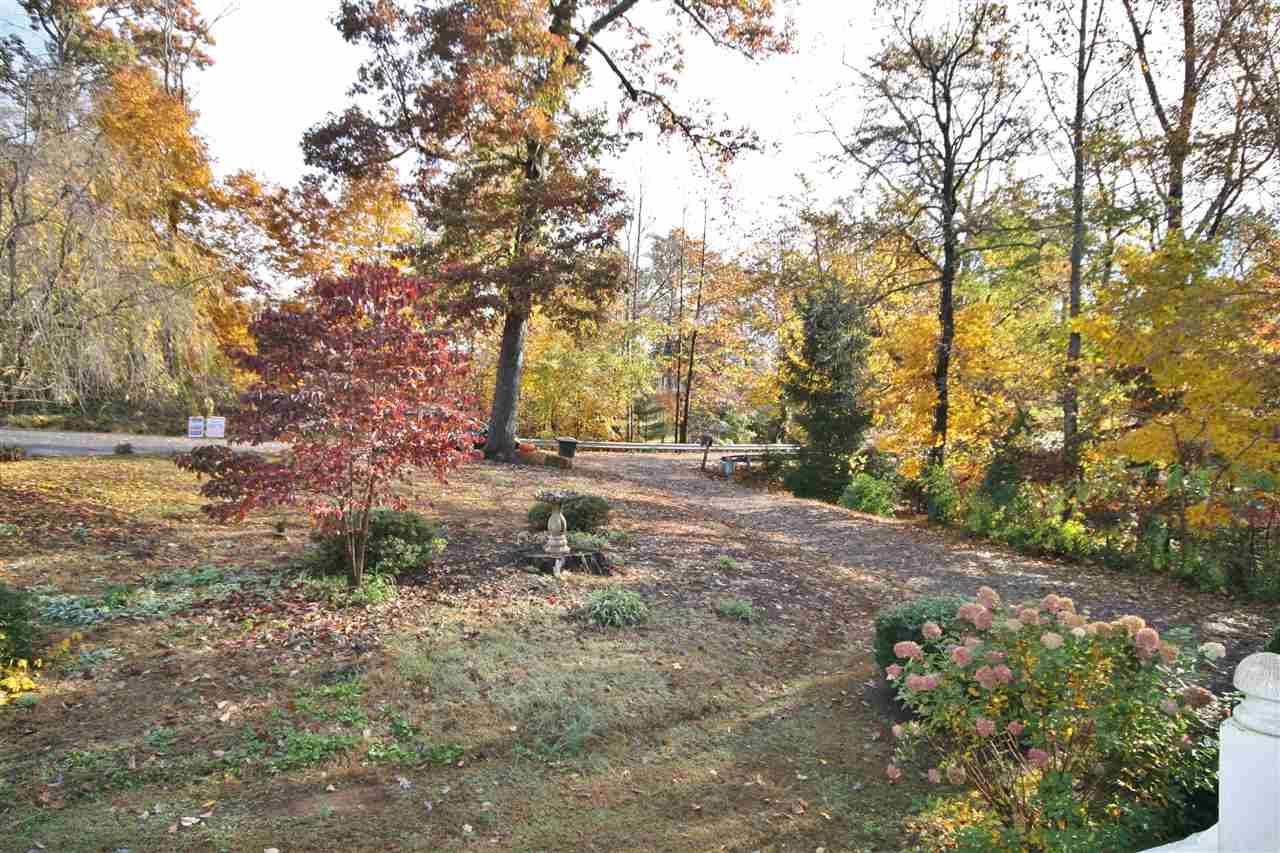 201 William Road Ruckersville, VA 22968 - Photo 3 of 23 a view of a yard with plants and trees