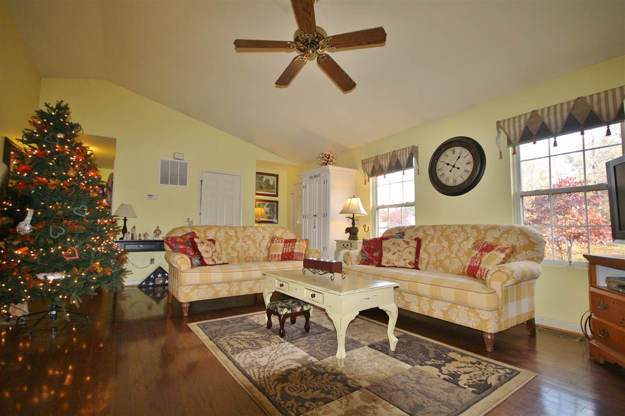 201 William Road Ruckersville, VA 22968 - Photo 6 of 23 a living room with couches a fireplace and a dining table with wooden floor