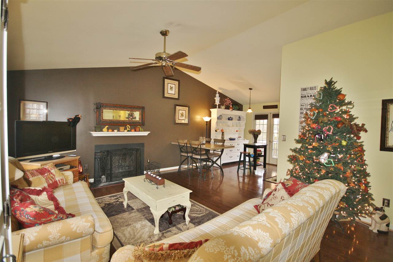 201 William Road Ruckersville, VA 22968 - Photo 10 of 23 a living room with furniture a flat screen tv and a potted plant