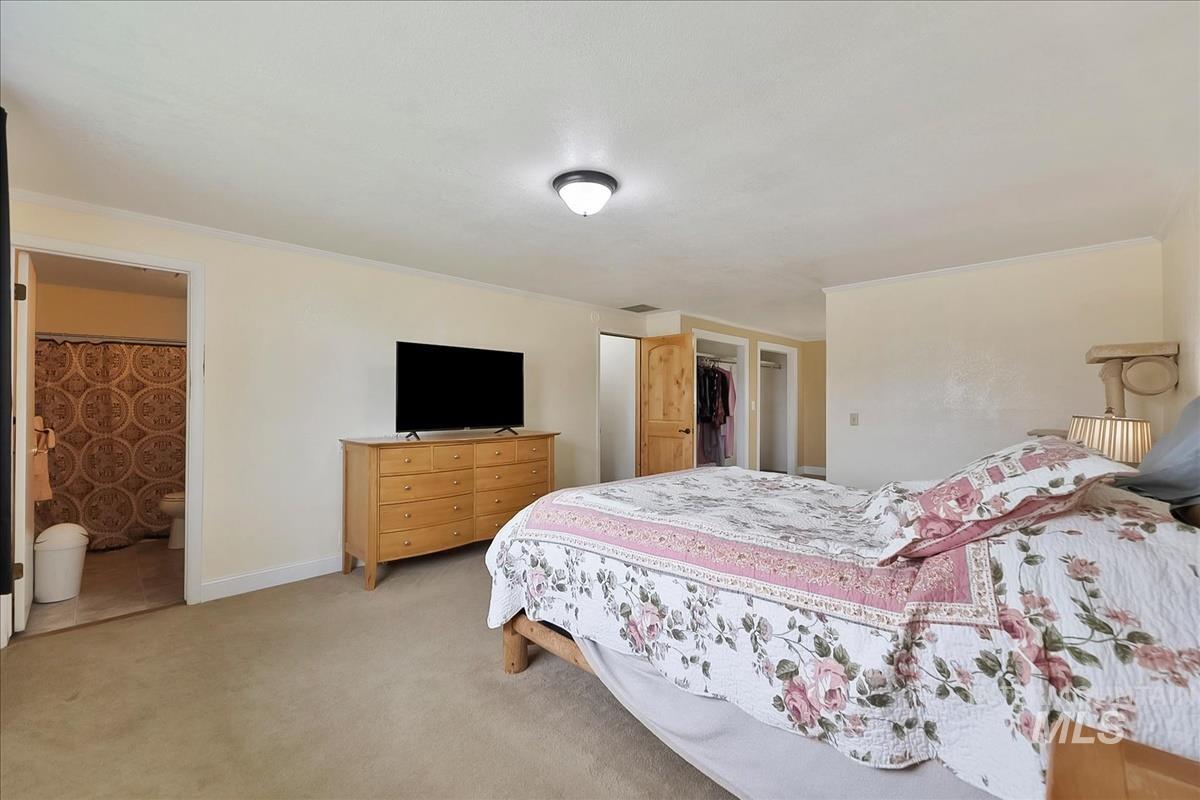 11875 West Hidden Valley Rim Road Boise, ID 83709 - Photo 18 of 36 Carpeted bedroom featuring a spacious closet, ornamental molding, and ensuite bathroom