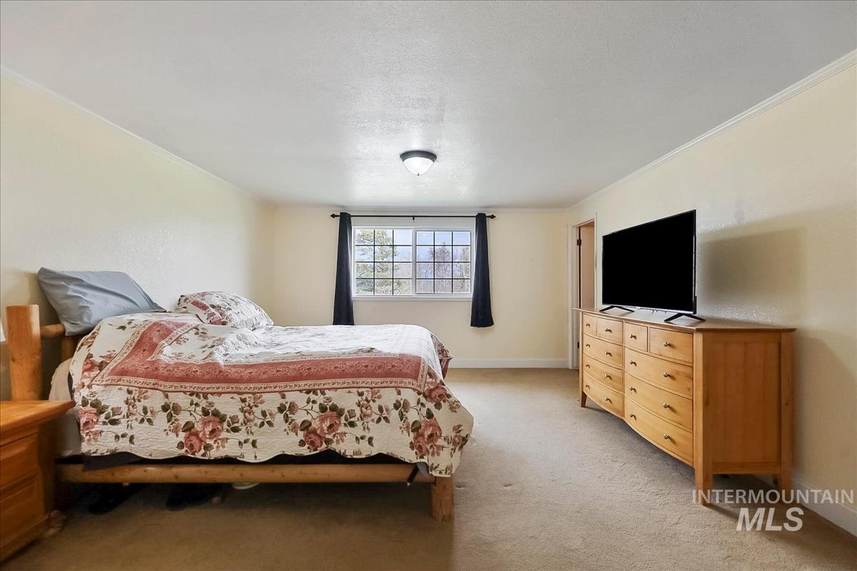 11875 West Hidden Valley Rim Road Boise, ID 83709 - Photo 19 of 36 Bedroom with light colored carpet and ornamental molding