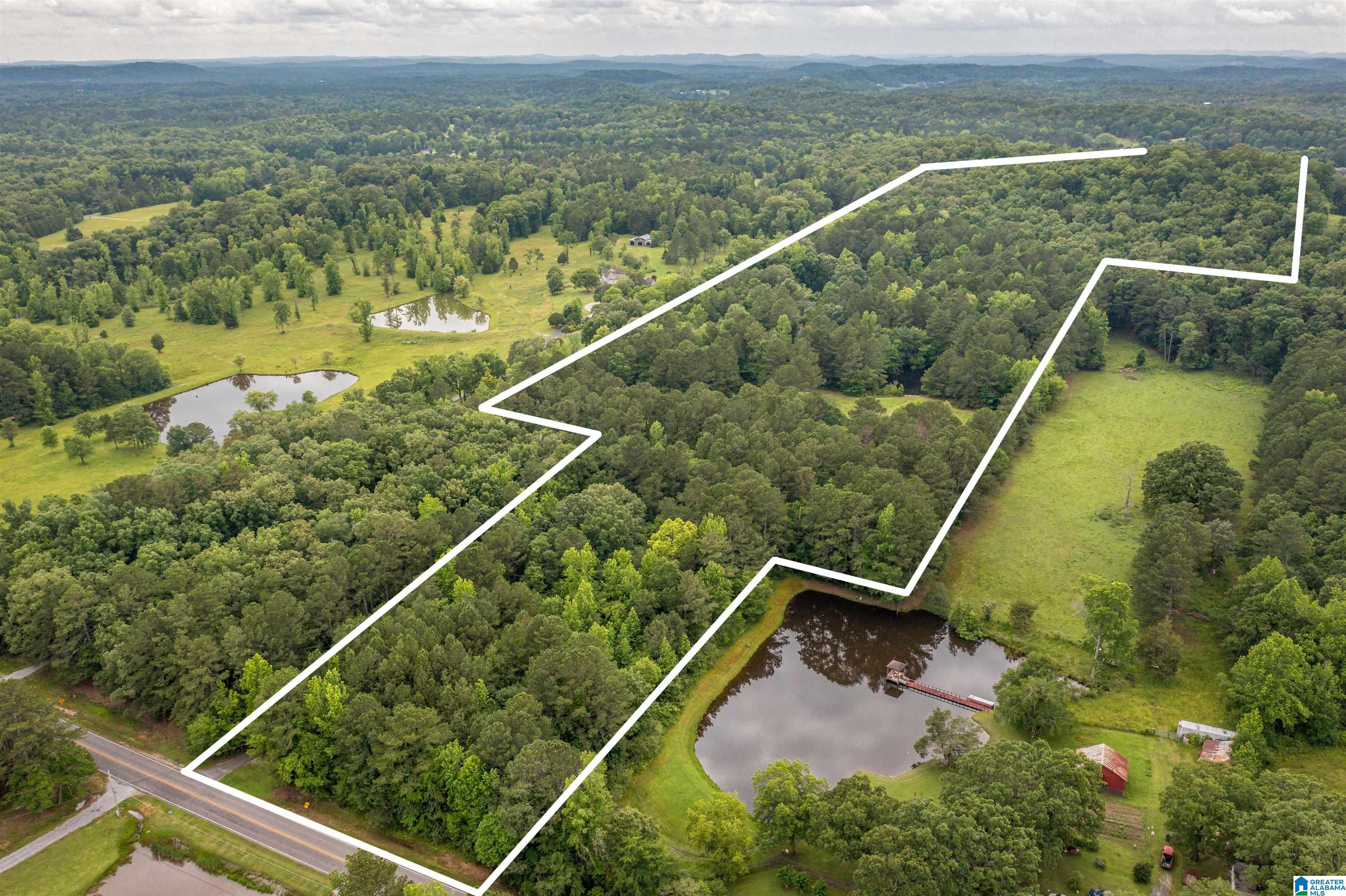 1329 Nisbet Lake Road Jacksonville, AL 36265 - Photo 51 of 60