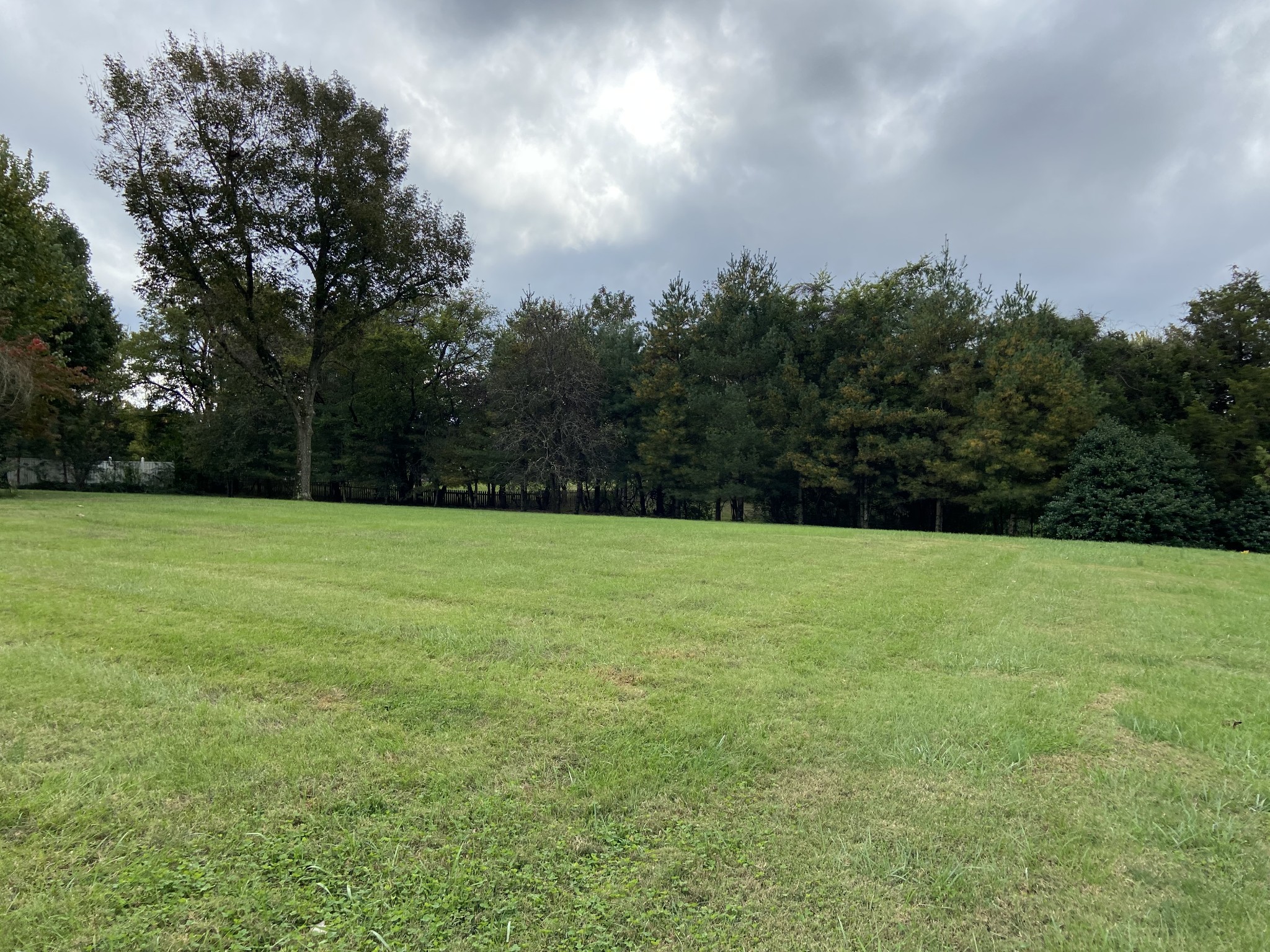 433 Bryan Road Clarksville, TN 37043 - Photo 12 of 15 a view of a field of grass and trees