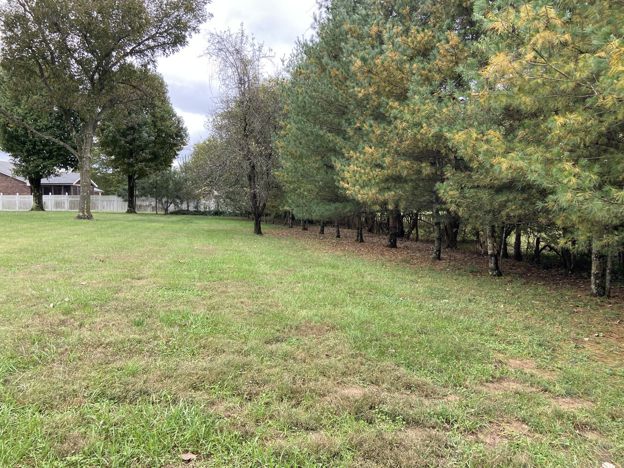 433 Bryan Road Clarksville, TN 37043 - Photo 15 of 15 a backyard of a house with lots of green space
