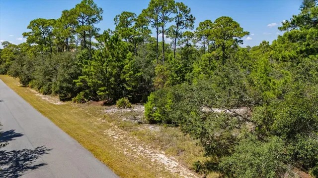 $49,000 | Lot 38 Turtle Creek Lane, Panacea, FL 32346