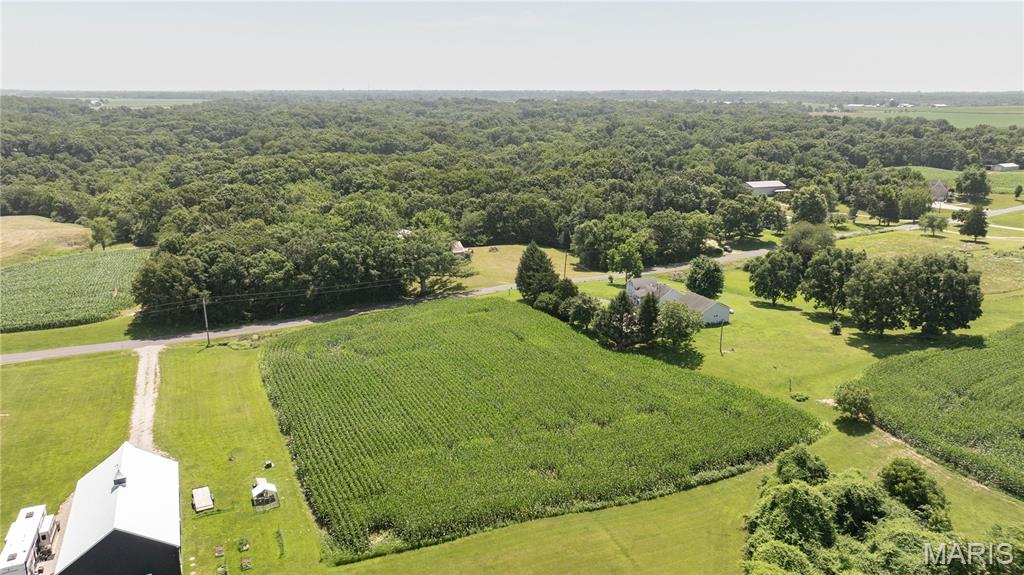 18907 Grange Hall Road Brighton, IL 62012 - Photo 9 of 47