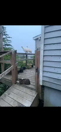 $169,000 | Tbd Tbd Mount, Lee, ME 04455