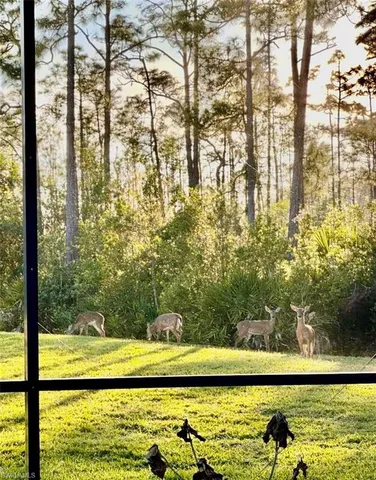 an aerial view of residential houses with outdoor space and river