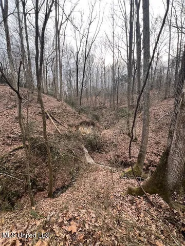 $75,000 | 2415 Lamar Road, Ashland, MS 38603