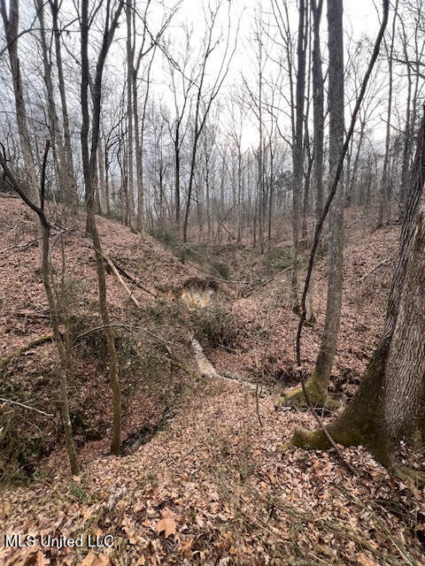 2415 Lamar Road Ashland, MS 38603 - Photo 5 of 9 unnamed (4)