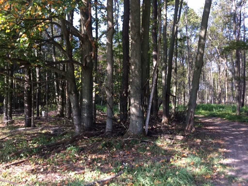 10587 Puffer Road Southwest Fife Lake, MI 49633 - Photo 17 of 23 1905619-16.JPG