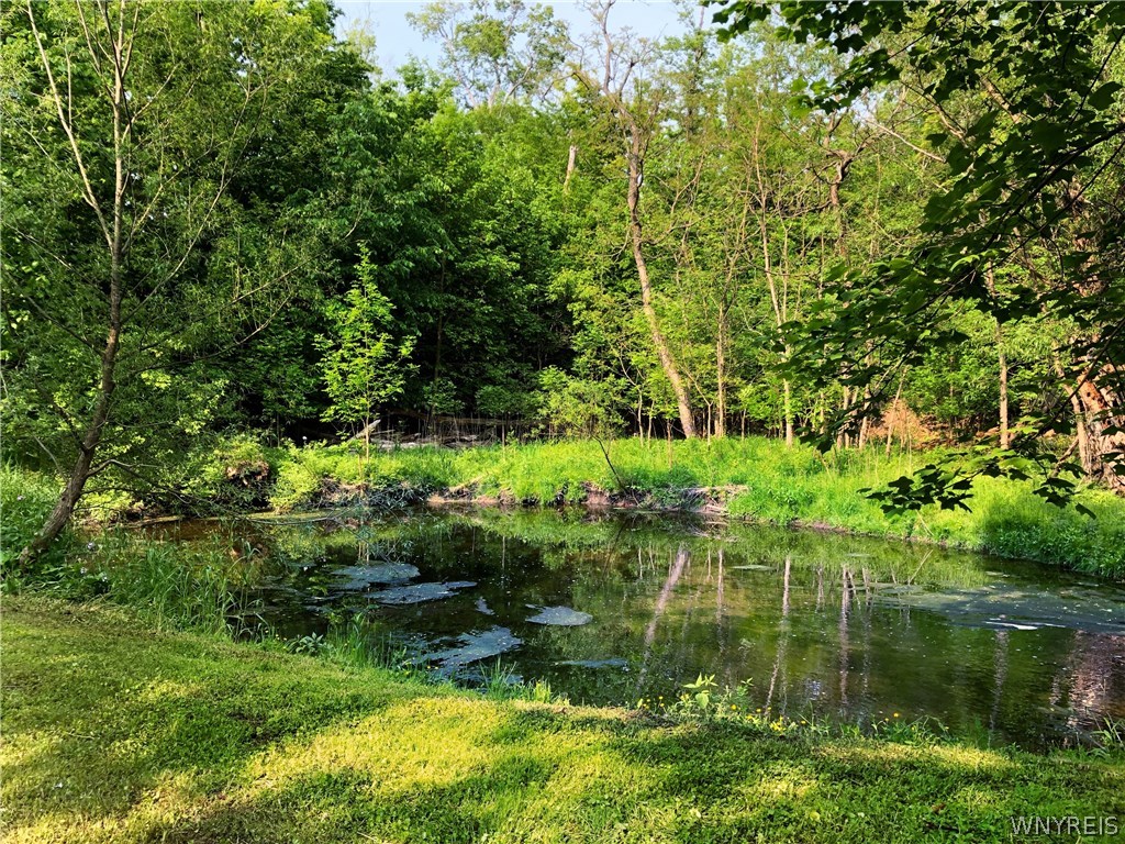 5555 Kraus Road Clarence, NY 14031 - Photo 34 of 36