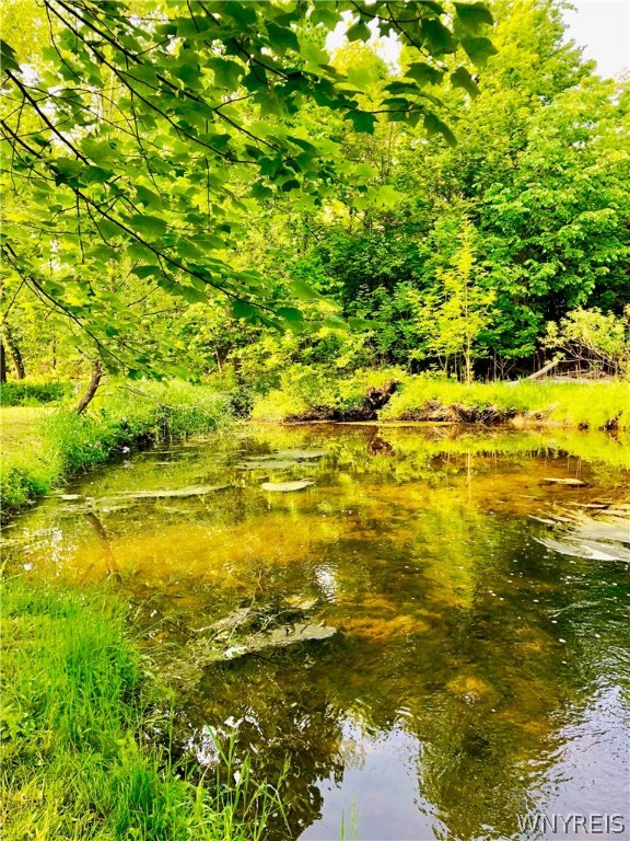 5555 Kraus Road Clarence, NY 14031 - Photo 35 of 36