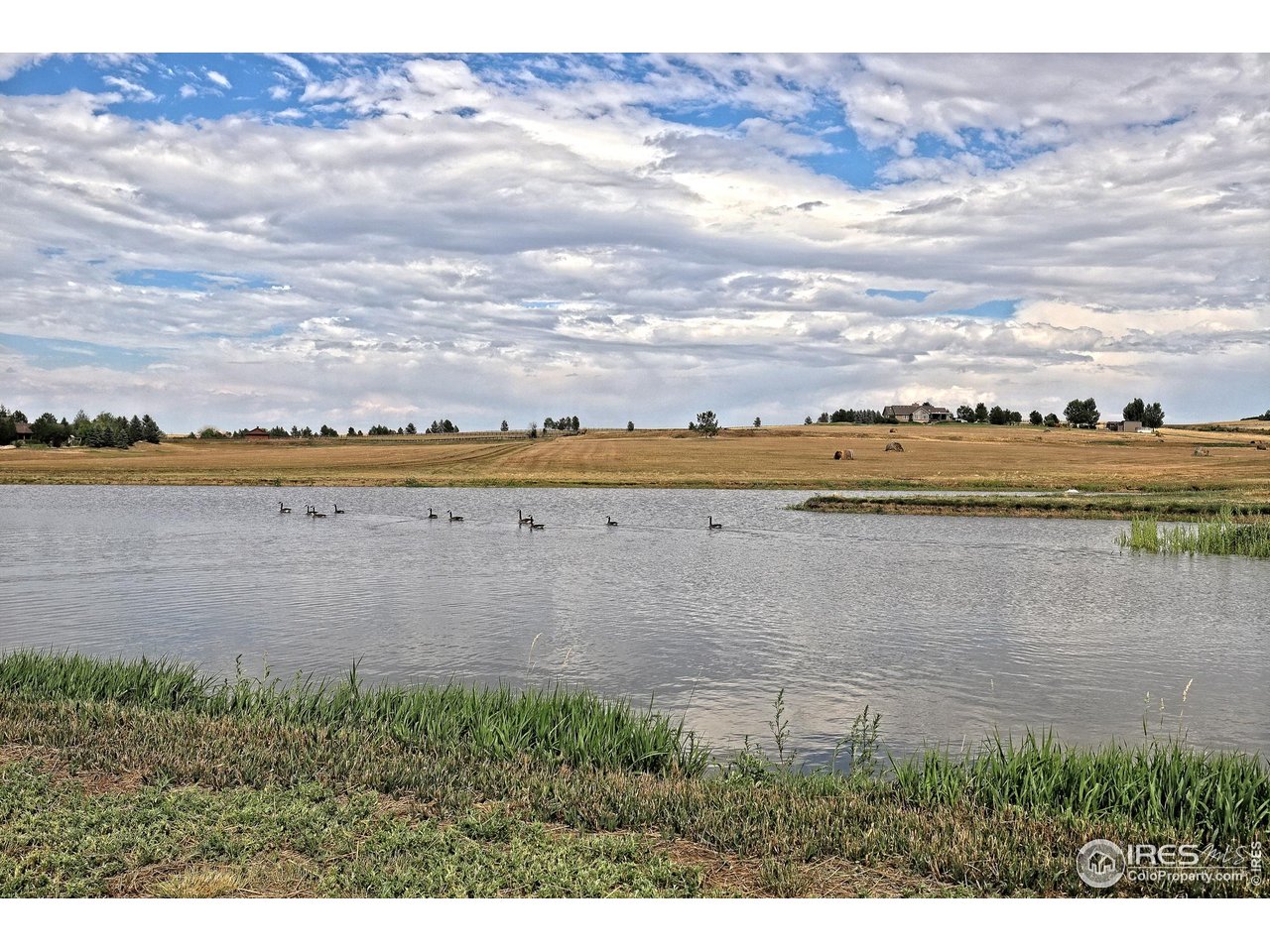 15137 East County Line Road Longmont, CO 80504 - Photo 36 of 40 Gallery Image 36