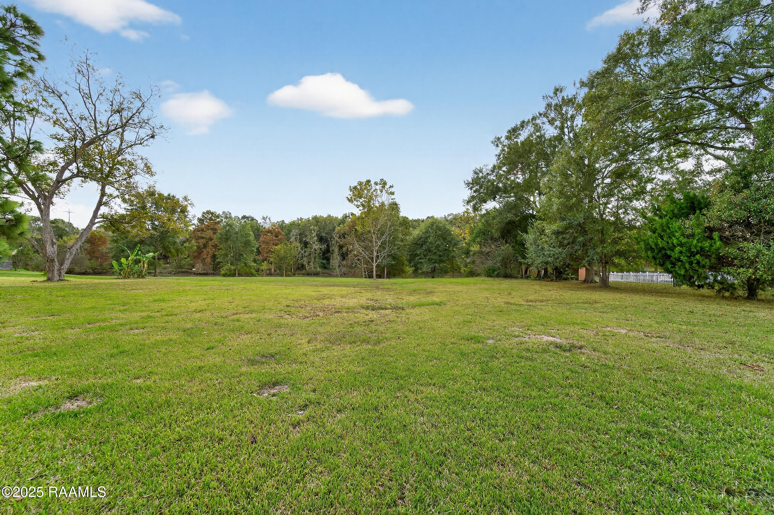 Tbd Chalfonte Crescent Road New Iberia, LA 70563 - Photo 5 of 9 DSC01931