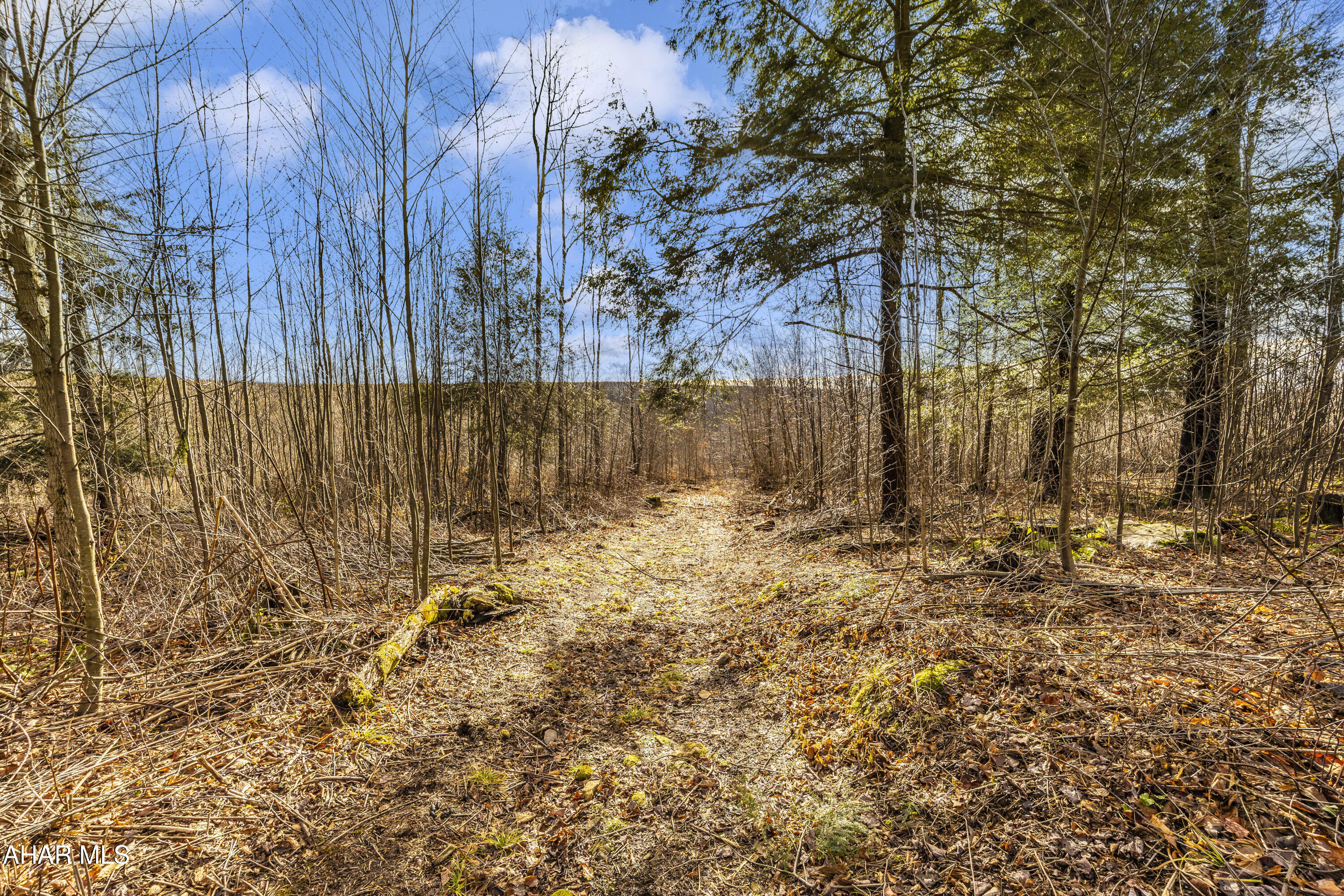 0 Lot 6 Mountain Road Road Lilly, PA 15938 - Photo 33 of 33