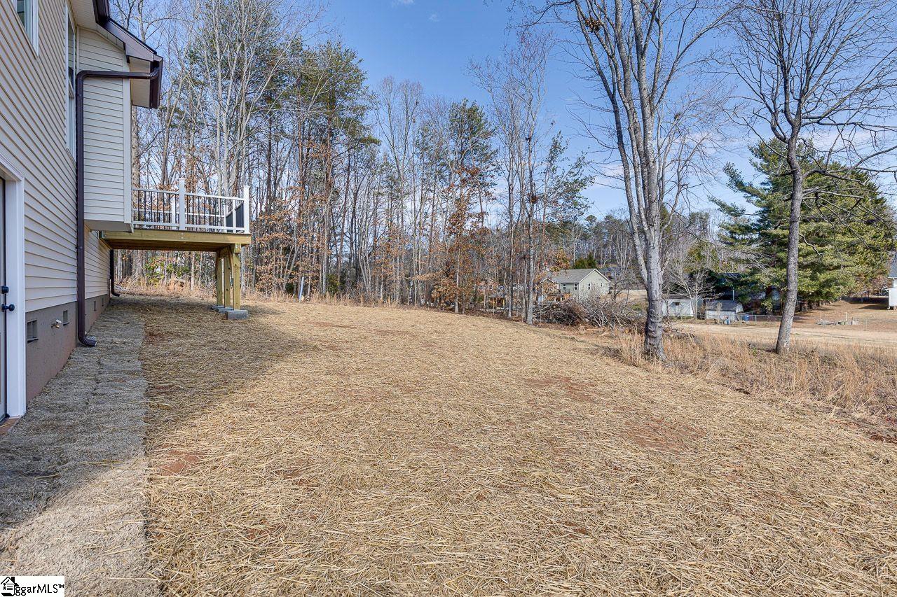 102 Chestnut Street Landrum, SC 29356 - Photo 29 of 32 Gallery Image 29