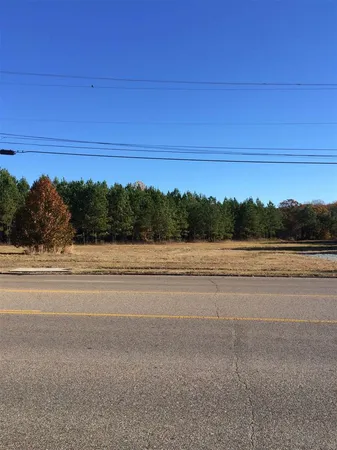 a view of a field and trees in the background