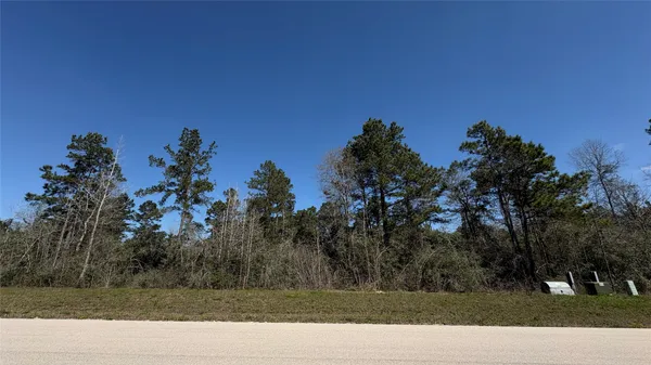 $205,000 | 126 Great Plains Way, Willis, TX 77378