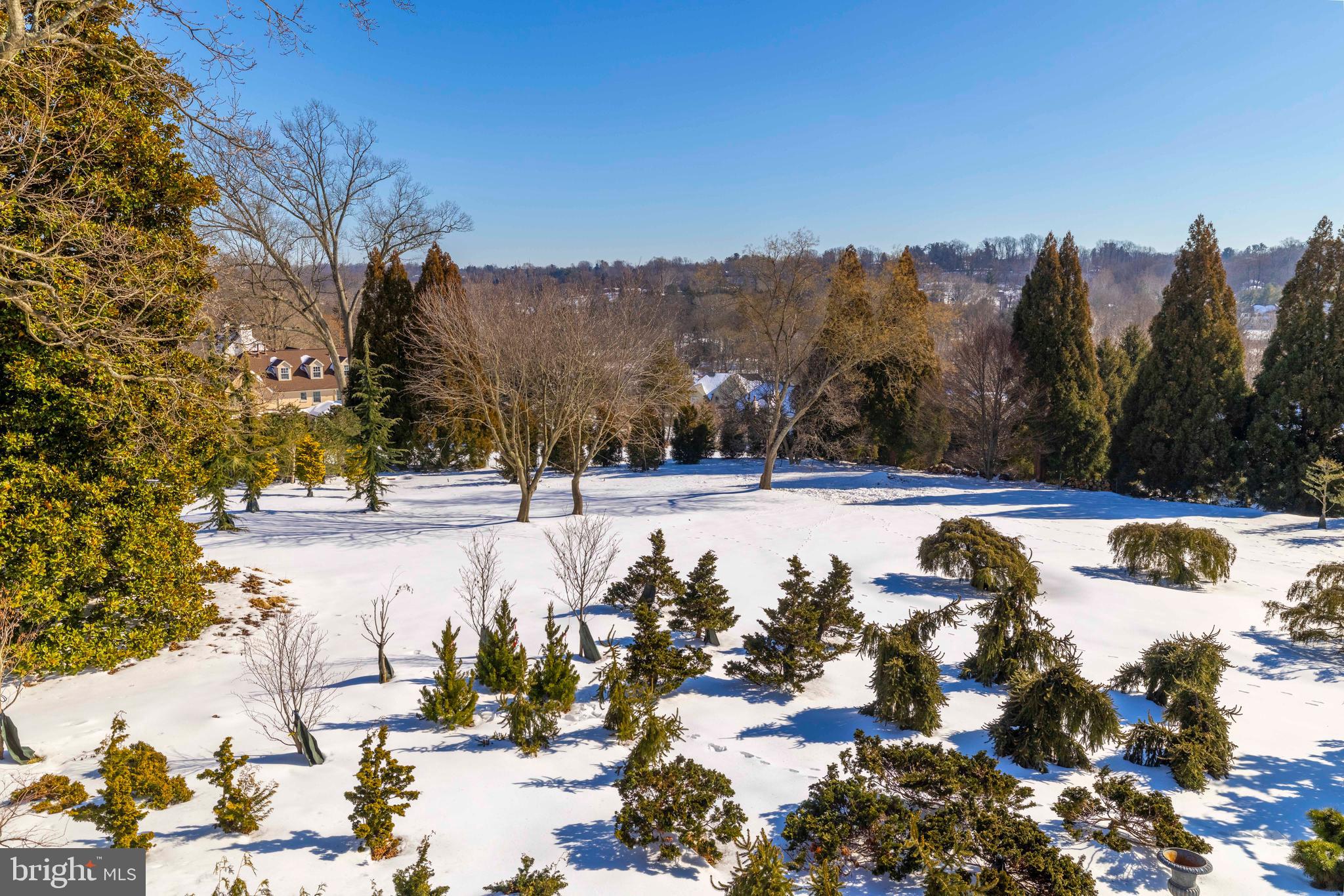 1260 County Line Road Wayne, PA 19087 - Photo 42 of 64 a view of swimming pool and trees in the background