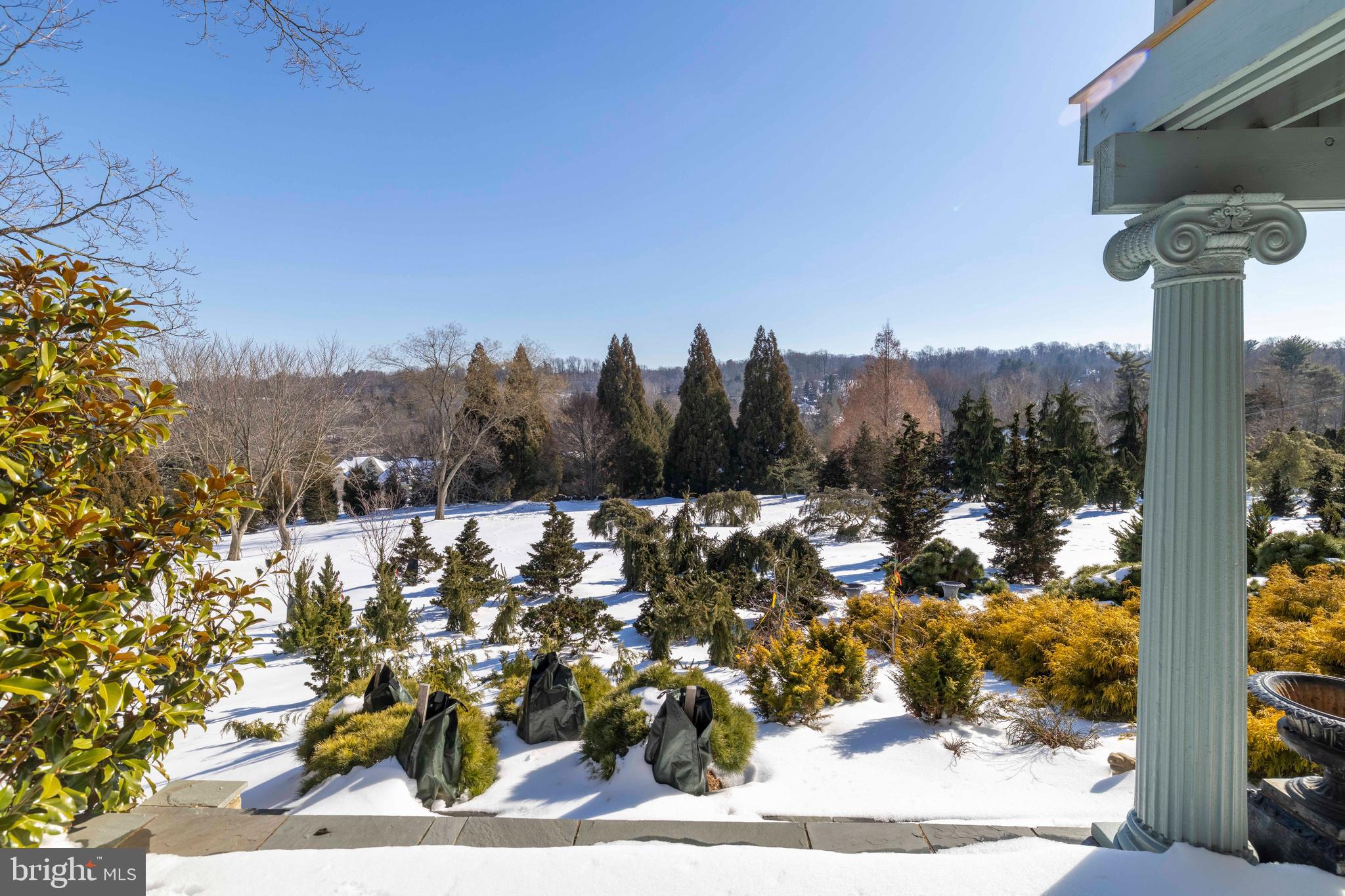 1260 County Line Road Wayne, PA 19087 - Photo 54 of 64 a view of a yard