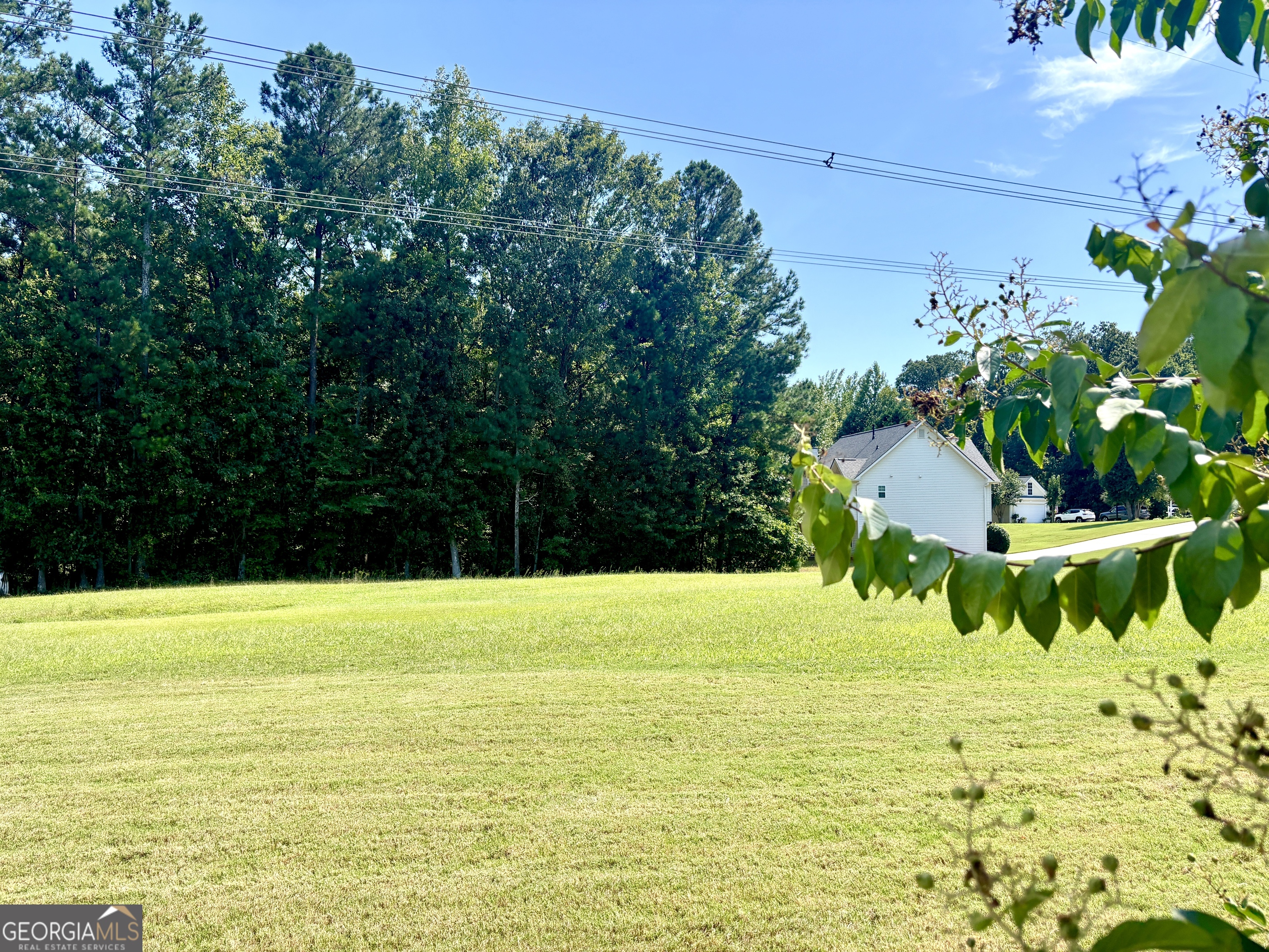 1102 Strath Clyde Way McDonough, GA 30253 - Photo 19 of 23 a view of an ocean from a yard