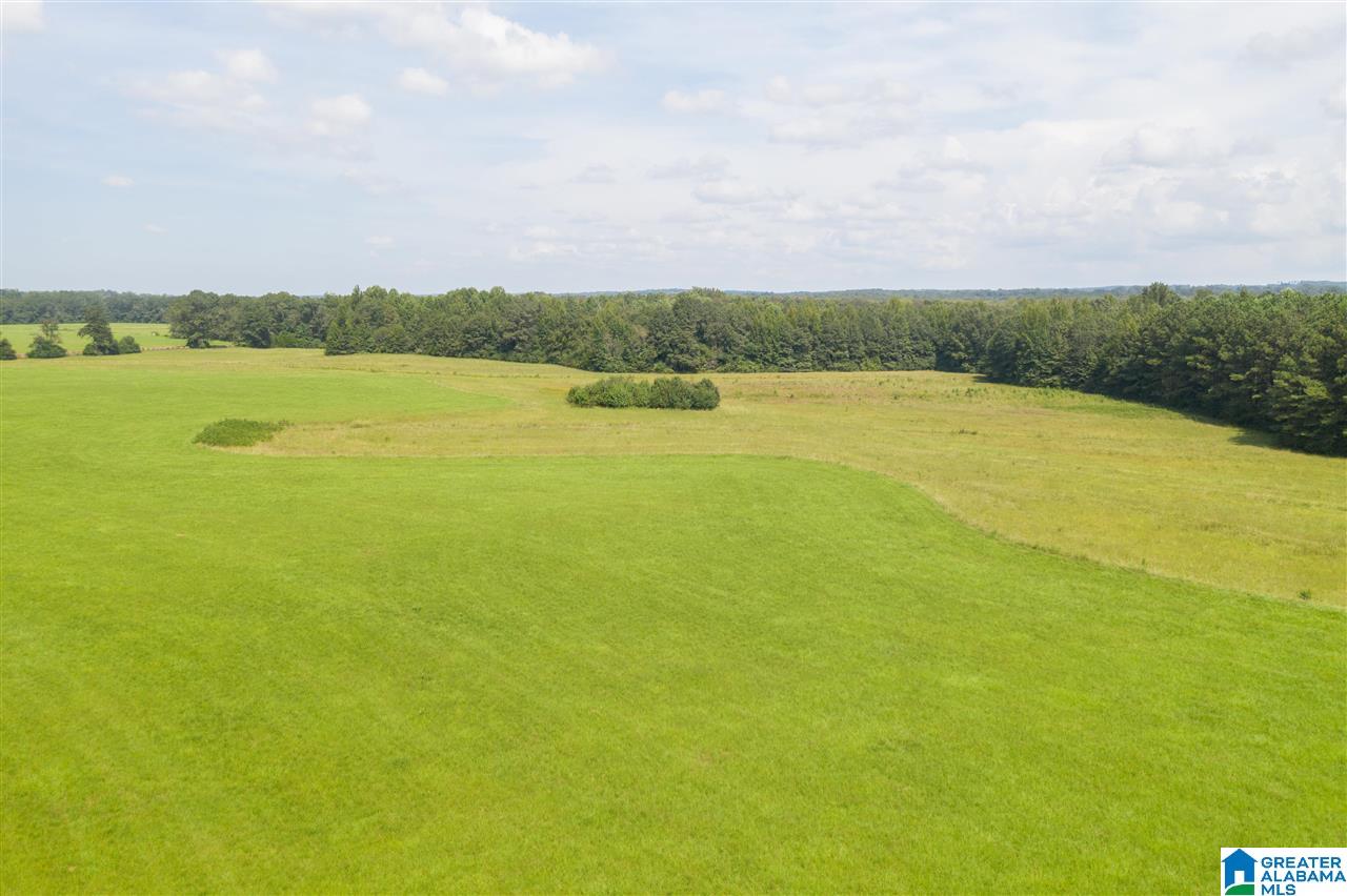 205 County Road 3 Reform, AL 35481 - Photo 5 of 46