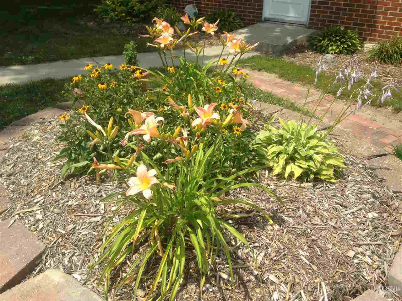5700 Hosler Road Leo, IN 46765 - Photo 3 of 28