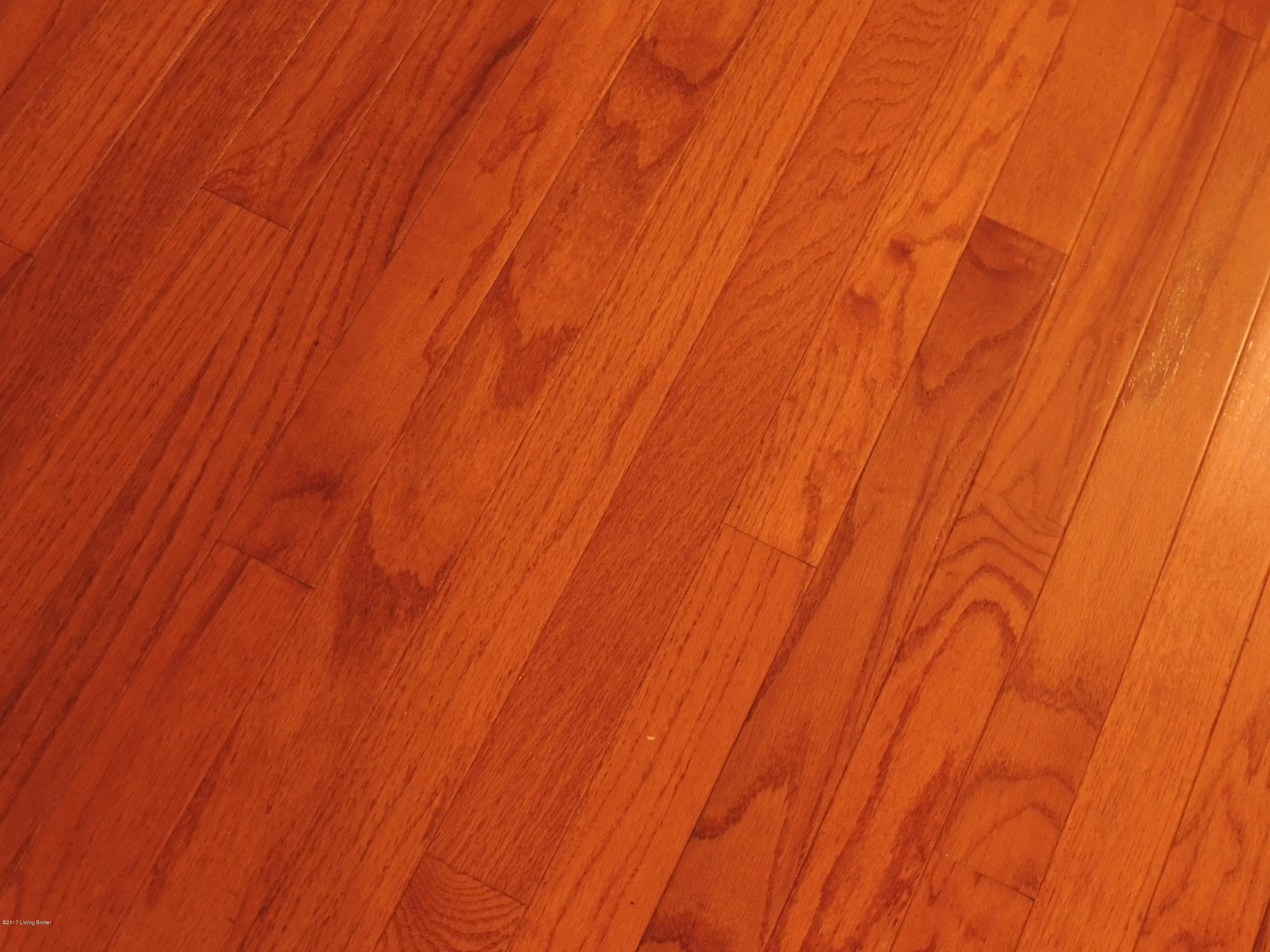 146 Riverside Drive Bloomfield, KY 40008 - Photo 18 of 33 Wood floors