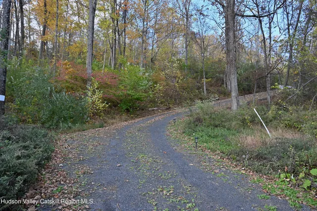 a view of a forest with trees
