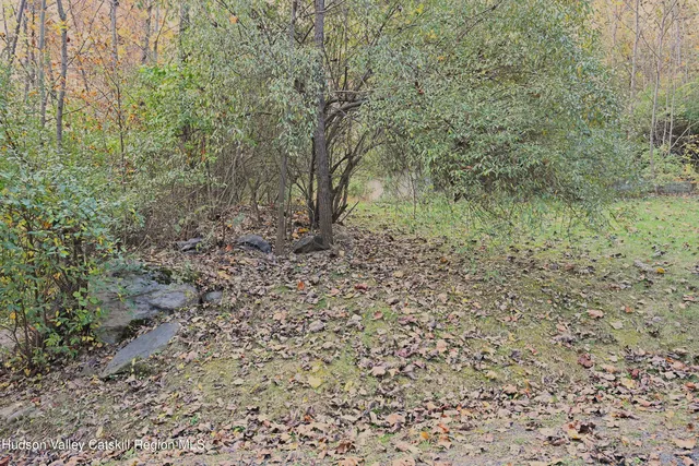 a view of a yard with plants and wooden fence