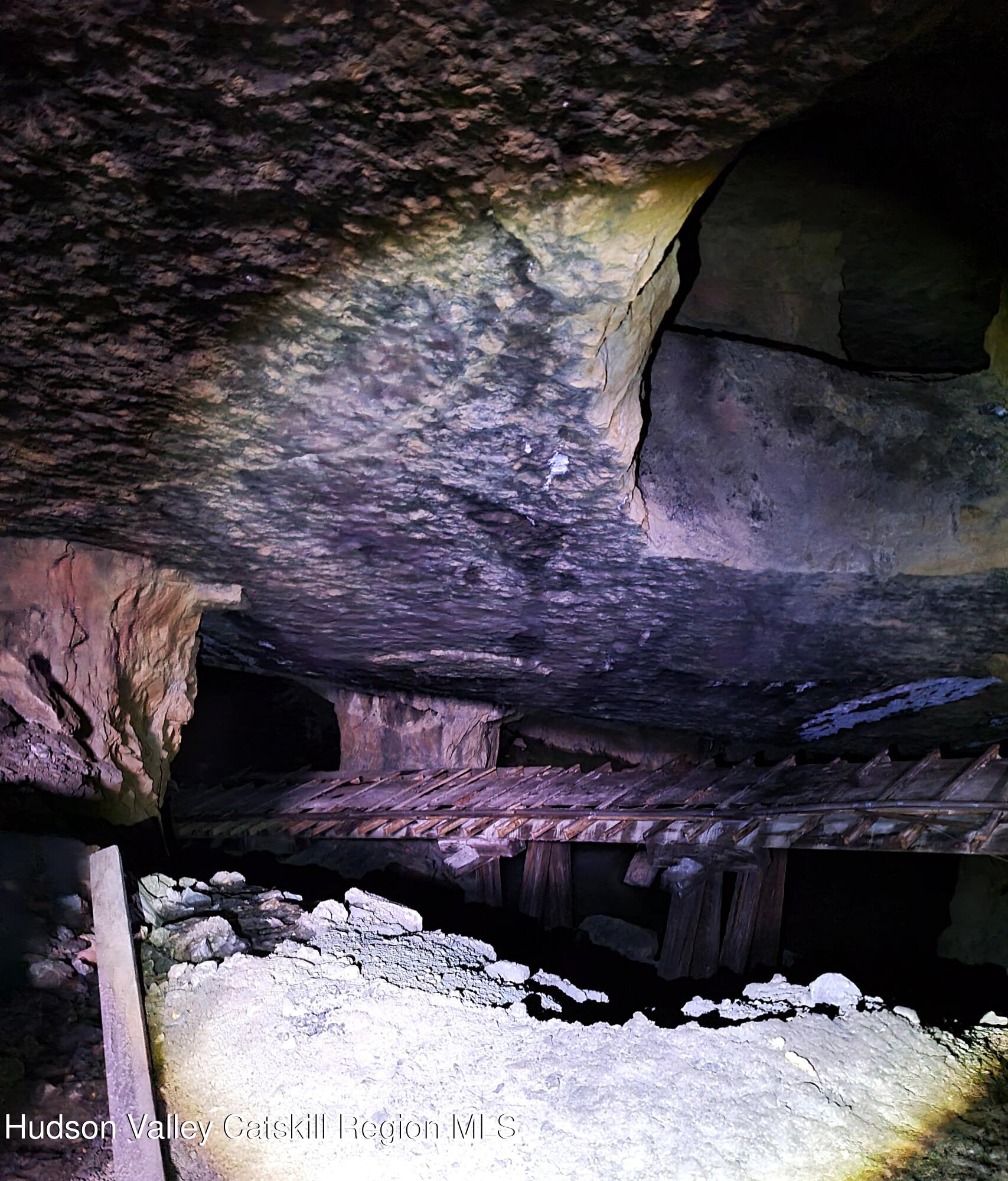 275 Creek Locks Road Rosendale, NY 12472 - Photo 5 of 23 a view of a backyard of a house