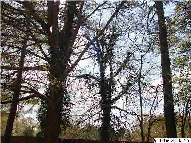 310 Ewing Street Montevallo, AL 35115 - Photo 22 of 23