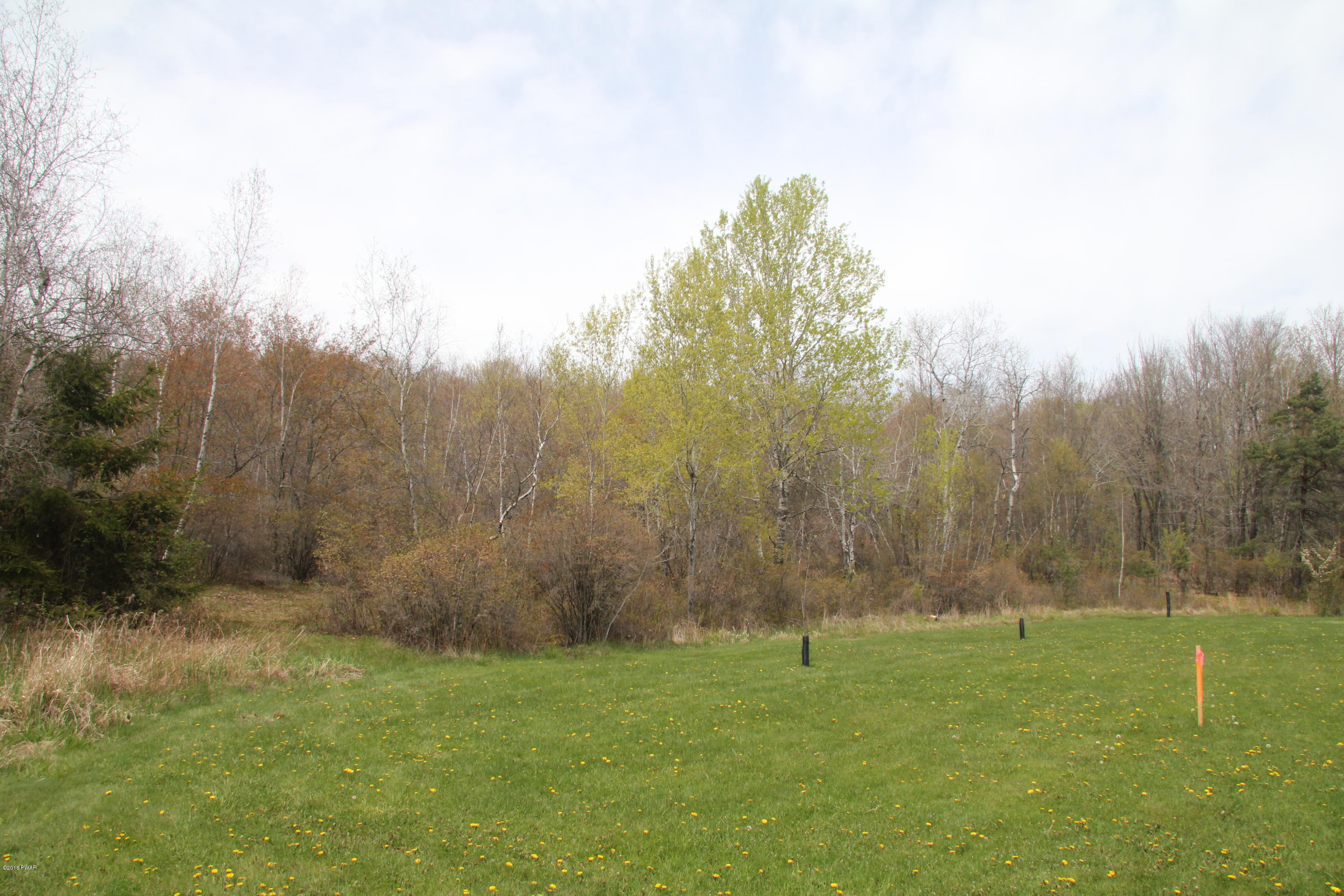 Maple Street Forest City, PA 18421 - Photo 7 of 10