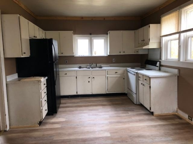 516 South Chestnut Street Reed City, MI 49677 - Photo 2 of 6 IMG_4245