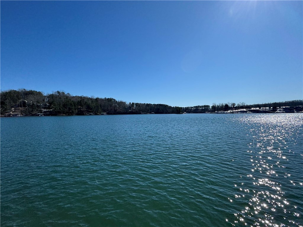 433 Peninsula Road West Union, SC 29696 - Photo 21 of 21