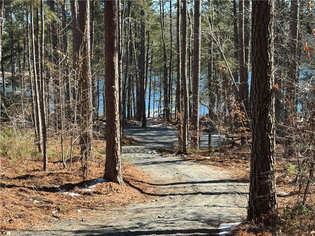 433 Peninsula Road West Union, SC 29696 - Photo 5 of 21