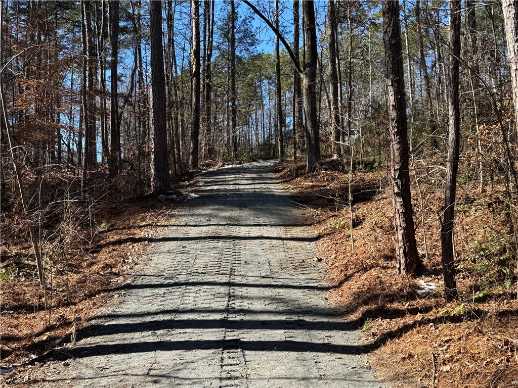 433 Peninsula Road West Union, SC 29696 - Photo 6 of 21